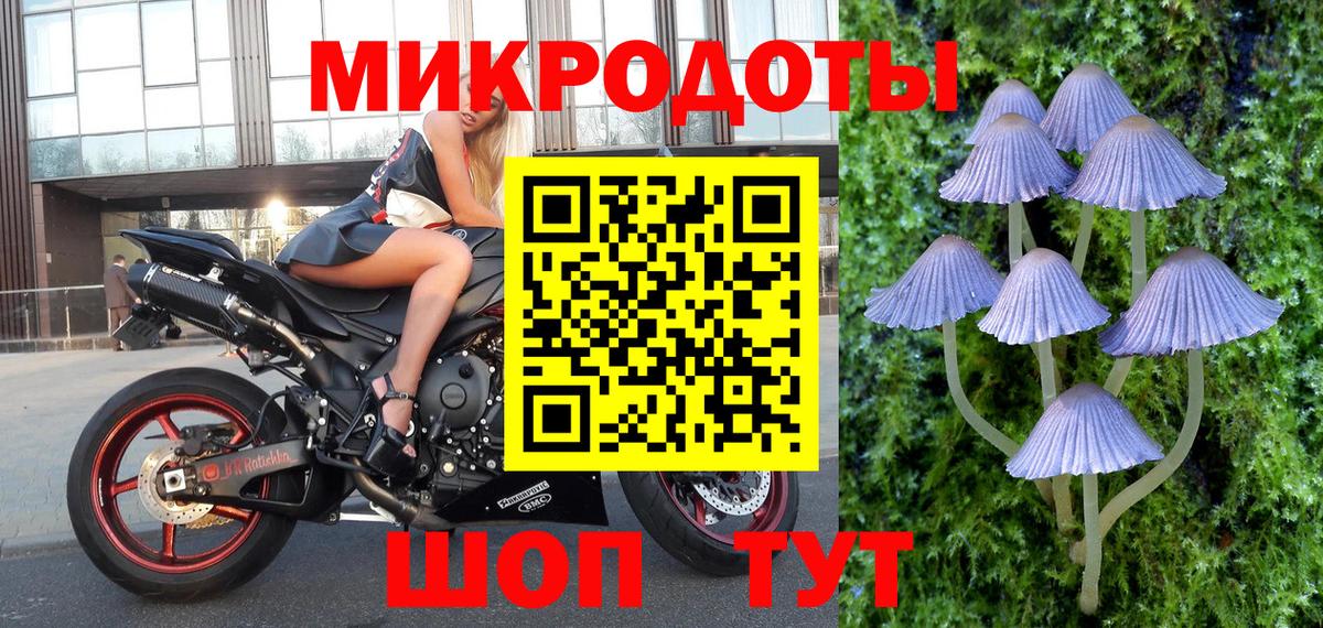 Саров  Псилоцибиновые грибы MAGIC MUSHROOMS  Псилоцибиновые грибы мухоморы  Вход с VPN 