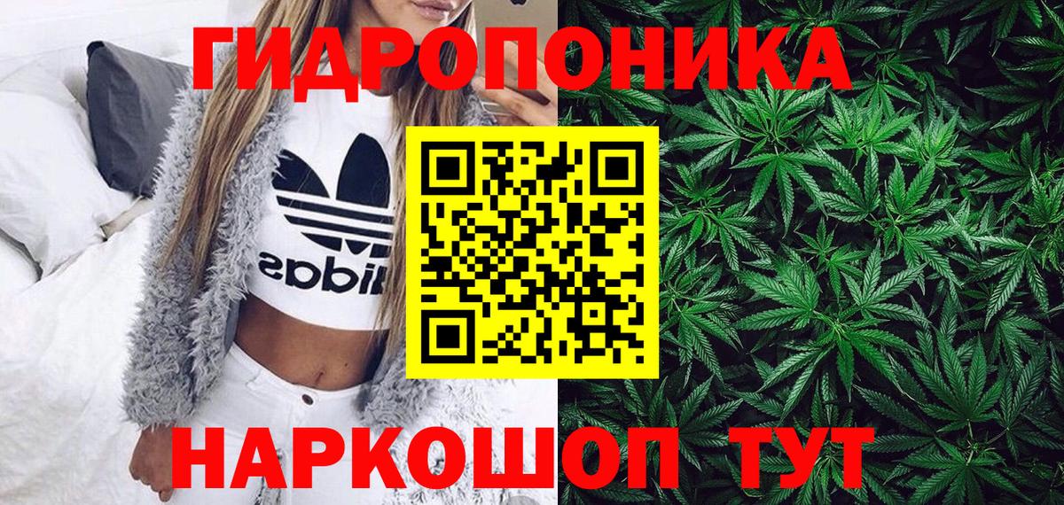 Шишки марихуана марихуана Саров